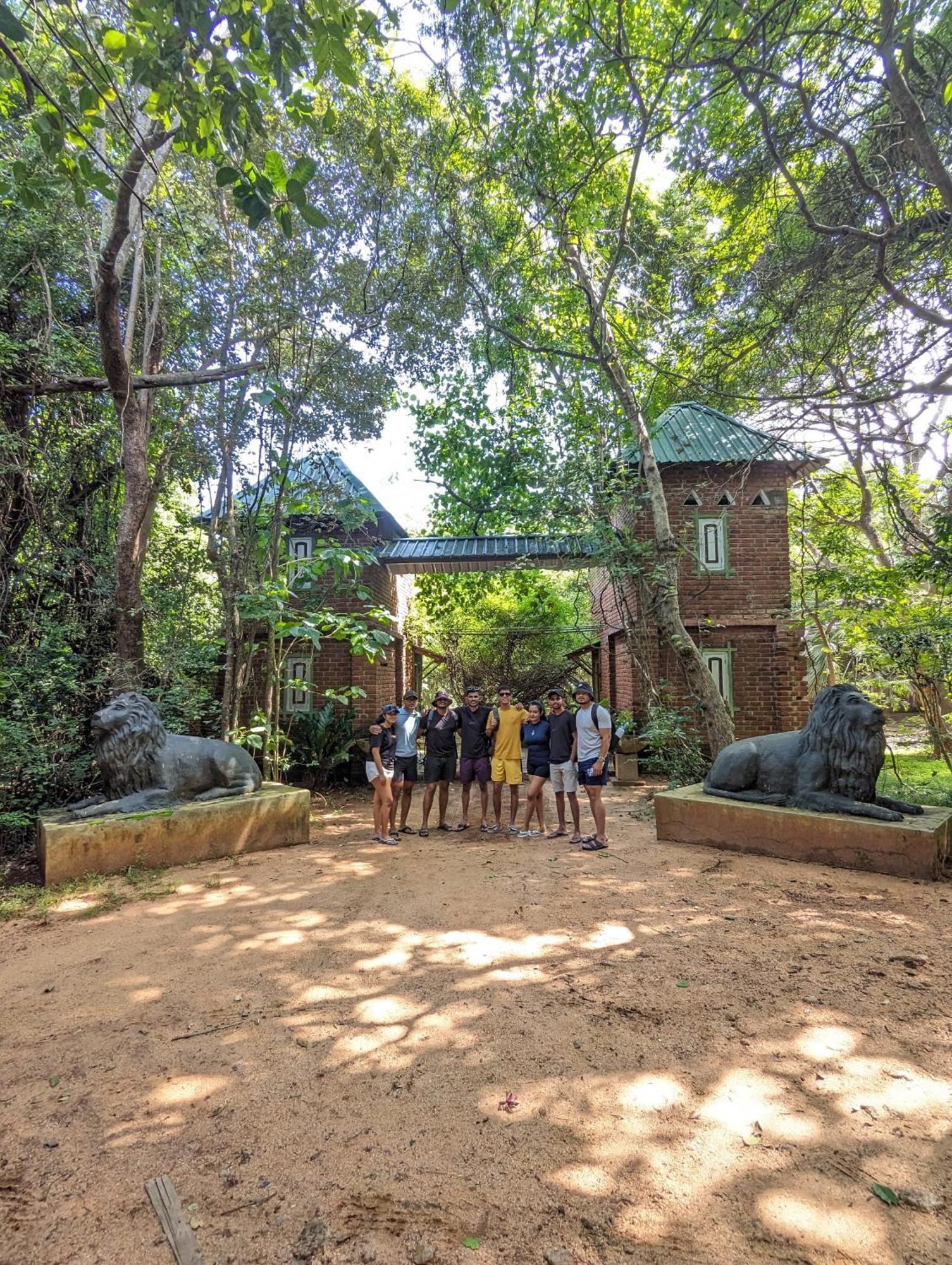 Vihanga Village - Jungle Retreat In Dambulla Eksteriør billede